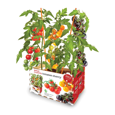 Caja de tomates de colores