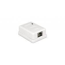 DeLOCK 86169 toma de corriente RJ-45 Blanco
