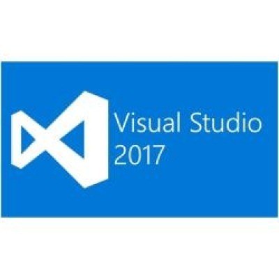 VSPRO 2019 SNGL OLP NL GOV