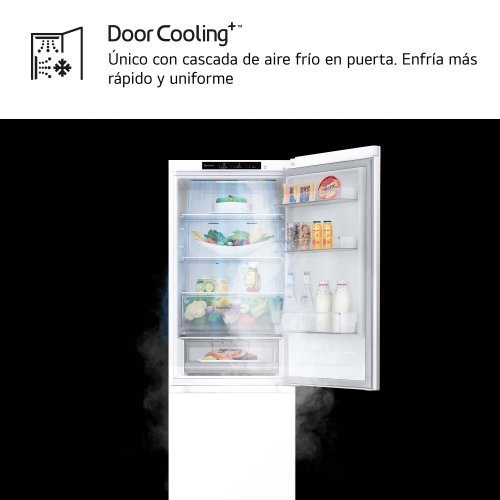 Imagen adicional del producto