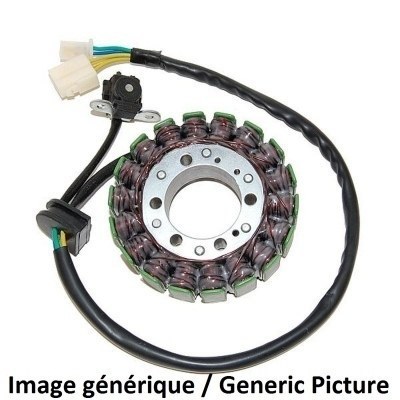 STATOR Honda CBR600RR ESG929