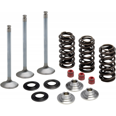 Kits de conversión de válvulas y muelles de acero inoxidable KIBBLEWHITE 80-80950