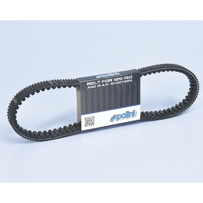 POLINI Transmission Belt 248.131