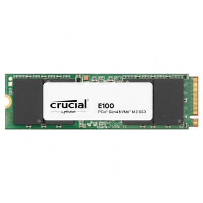 E100 480 GB M.2 PCI Express 4.0 NVMe