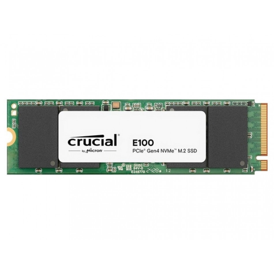 E100 480 GB M.2 PCI Express 4.0 NVMe