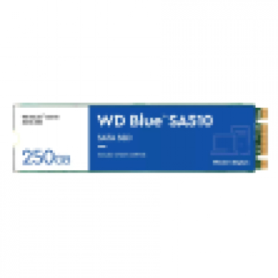 SSD WD BLUE SA510 250GB M2
