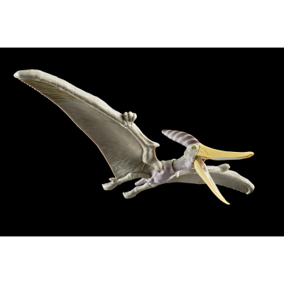 Maqueta bandai hobby plannosaurus pteranodon