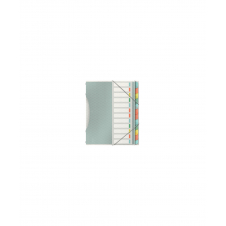 Esselte 626256 lengüeta de índice Separador en blanco con pestaña Polipropileno (PP) Multicolor