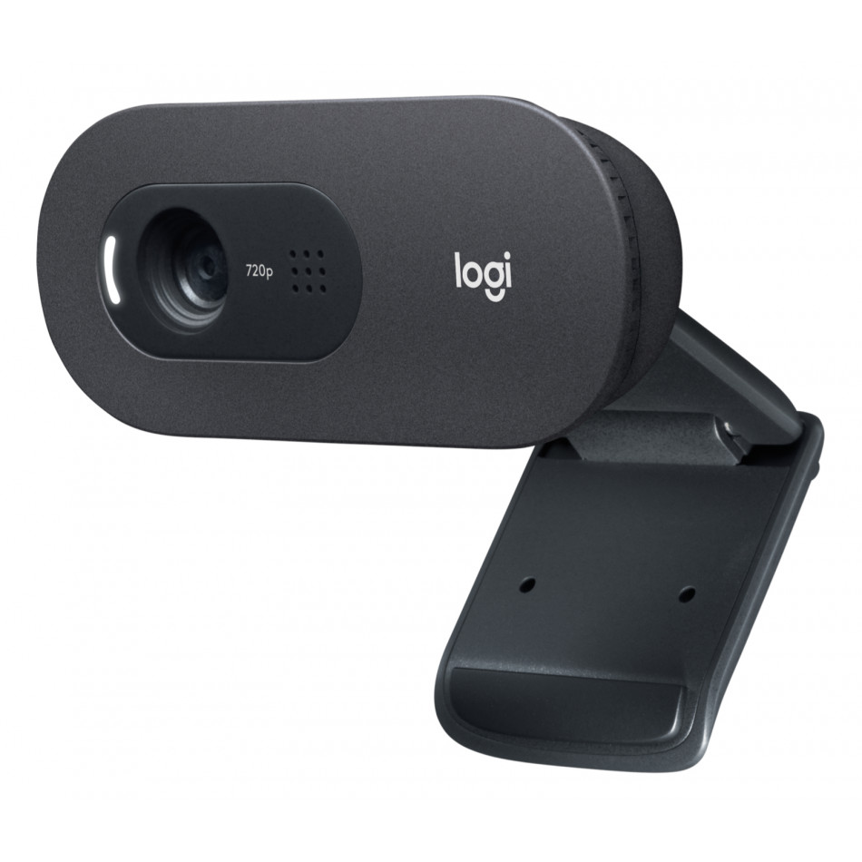 Webcam Logitech C505e (960-001372