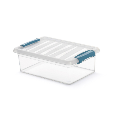 Caja katla transparente 4 l 29 x 19 x 10,5 cm