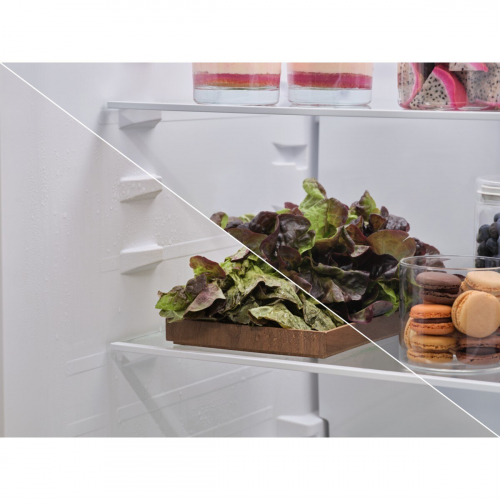 Imagen adicional del producto