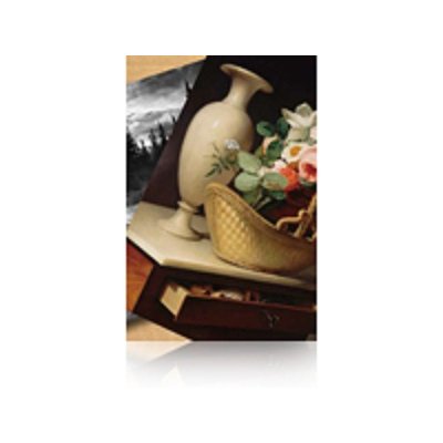 Epson GF Papel Premium Luster Photo, 60 X 30.5m - 260 g/m2