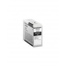 Cartucho Epson Singlepack Photo Black T850100 C13T850100