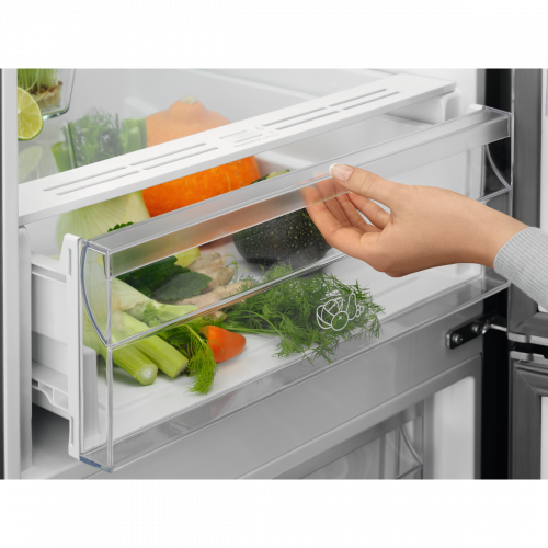 Imagen adicional del producto