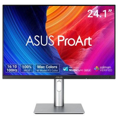 ProArt PA248QFV pantalla para PC 61,2 cm (24.1) 1920 x 1200 Pixeles WUXGA LCD Plata