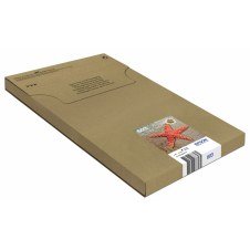 Epson 603 EasyMail Cartucho de tinta multipack