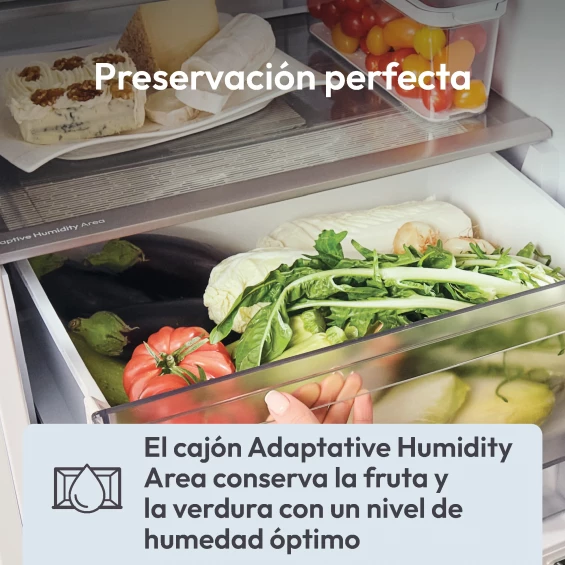 Frigorífico combi Candy ECN4CQTEX186, 185 x 59,5 x 66,7 cm, No Frost, clase E, 270 kWh/año, 38 dB, 355 litros, WiFi, inox - imagen 9