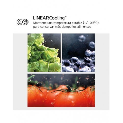 Imagen adicional del producto