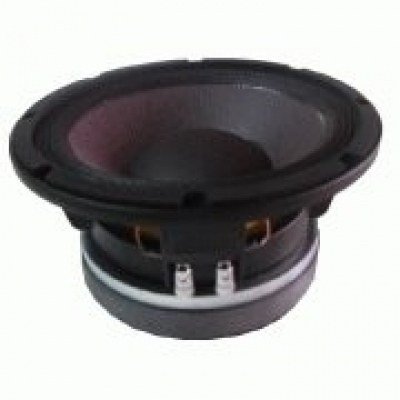 Altavoz 10 350Waes BEYMA 10MI100