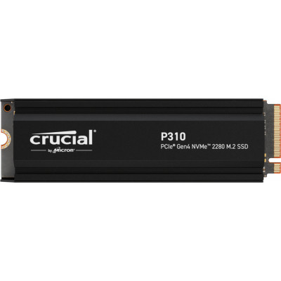 P310 1 TB M.2 PCI Express 4.0 NVMe