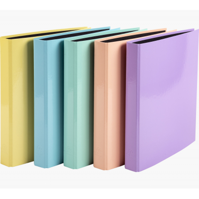 54560E carpeta de cartón A4 Colores surtidos