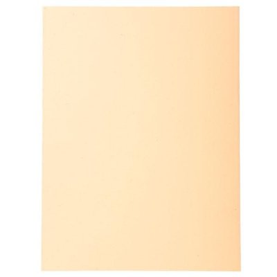 EXACOMPTA Paq.100 subcarpetas Forever 220g crema