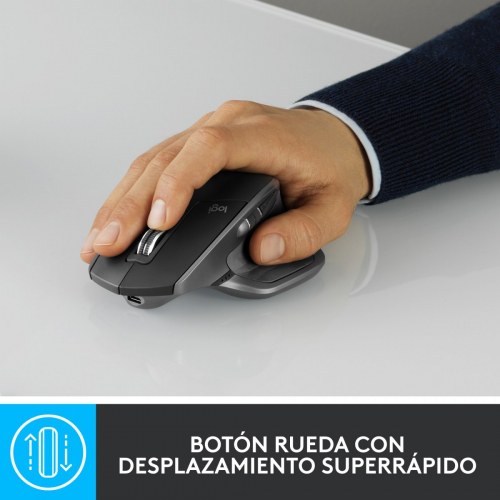 Logitech Raton Master Series MX Master 2S Graphite