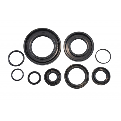 Oil Seal Kit VINTCO KOS006