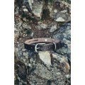 Collar de perro 