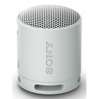 SRS-XB100 Altavoz monofónico portátil Gris