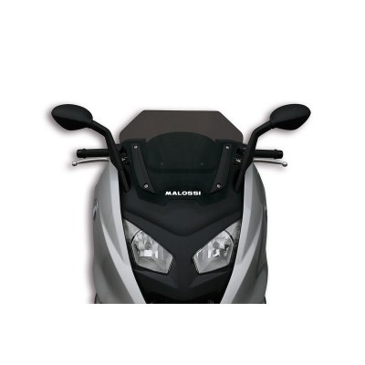 Pantalla MALOSSI Ahumada SPORT BMW C600 4515571B 4515571B