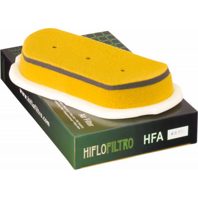 Filtro de aire de recambio OEM HIFLOFILTRO HFA4610