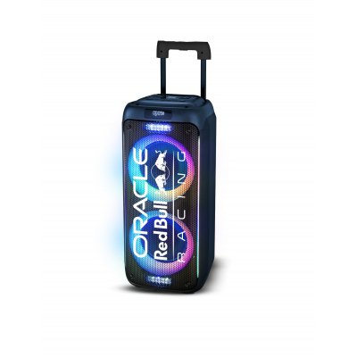 RB-SK220 altavoz portátil o de fiesta Altavoz portátil estéreo Negro 320 W