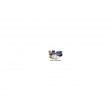 Papel Epson Rollo de Enhanced Adhesive Synthetic Paper, 44 C13S041619