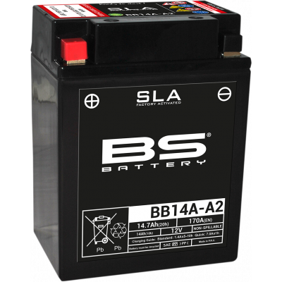 Baterías SLA AGM activadas de fábrica y sin mantenimiento BS BATTERY 300838