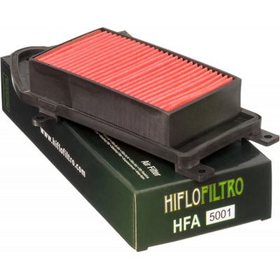 Filtro de aire de recambio OEM HIFLOFILTRO HFA5001