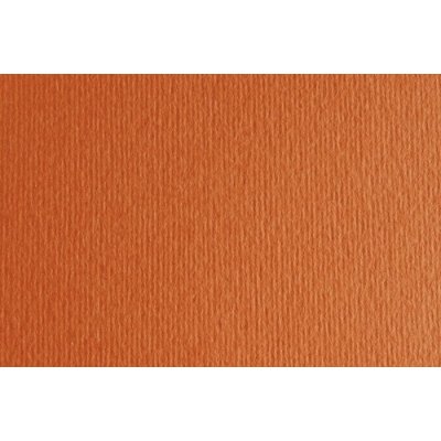 CARTULINA 50x70 FABRI. 220g LR ARAG. P/2