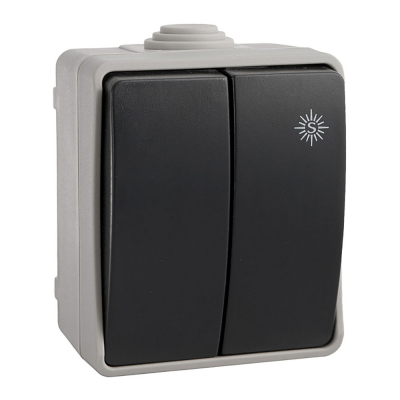 Doble conmutador estanco 10 ax 250v~. ip54 (retractilado)