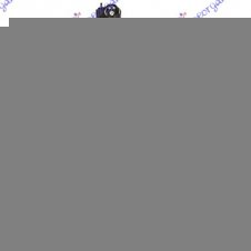 ELEVALUNAS ELÉCTRICA DELANTERO (CON MOTOR)