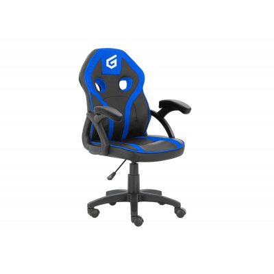 EYOTA06B silla para videojuegos Silla para videojuegos de PC Asiento acolchado Negro, Azul