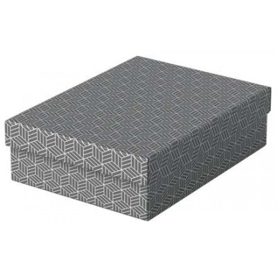 Pack de 3 cajas medianas de almacenamiento con tapa Esselte - 265x100x360mm - Cartón 100% reciclado - Diseño gris con dibujo