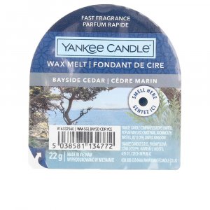 CANDLE ORIGINAL WAX MELT vela #Bayside Cedar 22 gr