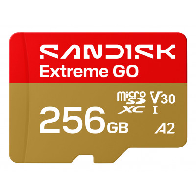 Extreme GO 256 GB MicroSDXC UHS-I