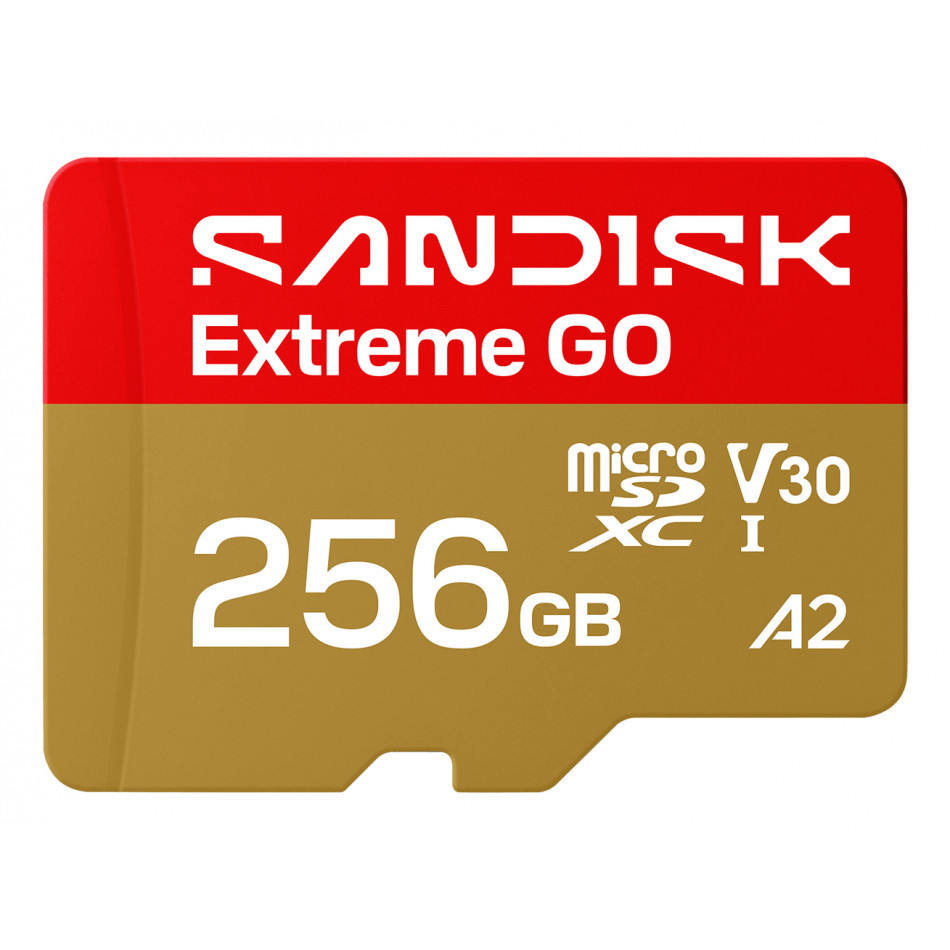 Extreme GO 256 GB MicroSDXC UHS-I