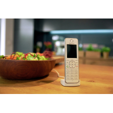 FRITZ!Fon C6 Teléfono DECT Identificador de llamadas Blanco