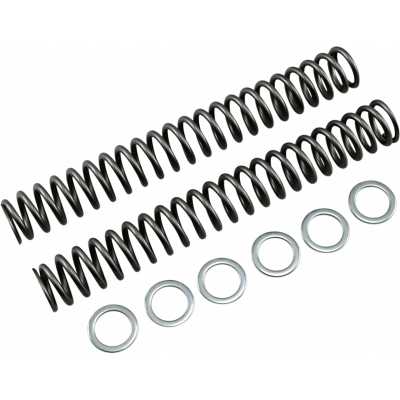 Muelles de horquilla RACE TECH FRSP S4031100