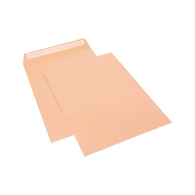 C. 250 BOLSAS SAM 90G 260X360 CELULOSA