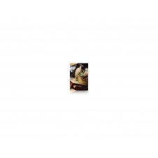 Papel Epson Premium Luster Photo Paper, 60 C13S042134