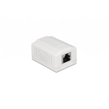 DeLOCK 86196 toma de corriente RJ-45 Blanco