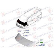 BISAGRA CAPO DELANTERO (O)